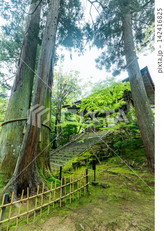 【滋賀県東近江市】西明寺 二天門と千年夫婦杉 【滋賀県東近江市】西明寺 二天門と千年夫婦杉 142416825