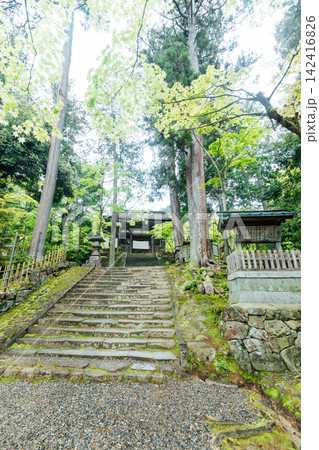 【滋賀県東近江市】西明寺 二天門と千年夫婦杉 【滋賀県東近江市】西明寺 二天門と千年夫婦杉 142416826