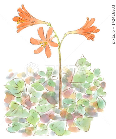 園芸 – 草花や暮らしの手描きイラストやデザイン素材：ほっこりデザイン