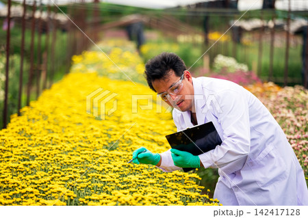 Researcher man examining yellow flowers in a nursery, holding clipboard and tool while focused on botany science, plant inspection, horticulture and agricultural research Researcher man examining yellow flowers in a nursery, holding clipboard and tool while focused on botany science, plant inspection, horticulture and agricultural research 142417128