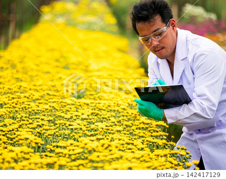 Researcher man recording data beside yellow flowers in a nursery, focused on botany science, horticulture, plant observation, agriculture and careful field research 142417129