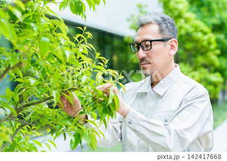 樹木のお手入れをする庭師 樹木のお手入れをする庭師 142417668