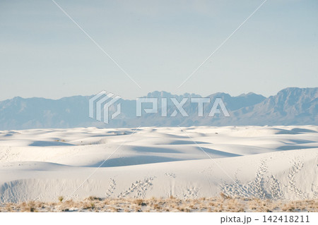 whitesands#22 142418211