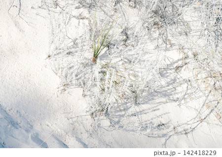 whitesands#9 142418229