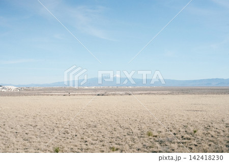 whitesands#10 142418230