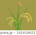 稲穂と赤とんぼの秋のイラスト 142418422