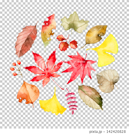 Autumn leaves, fallen leaves, watercolor illustration Autumn leaves, fallen leaves, watercolor illustration 142420828