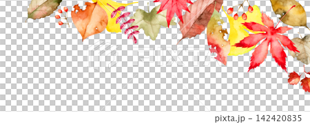 Autumn leaves, fallen leaves, background, frame, watercolor illustration Autumn leaves, fallen leaves, background, frame, watercolor illustration 142420835