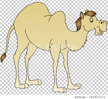 Hand-drawn animal illustration ☆ Camel 142421172
