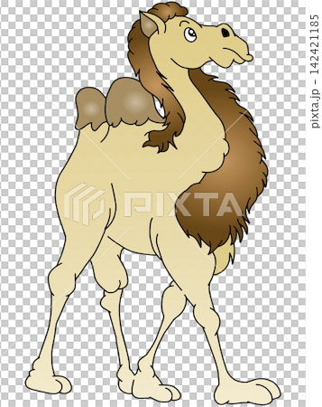 Hand-drawn animal illustration ☆ Camel Hand-drawn animal illustration ☆ Camel 142421185