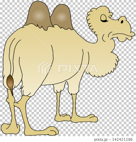手繪動物插畫☆駱駝 手繪動物插畫☆駱駝 142421186