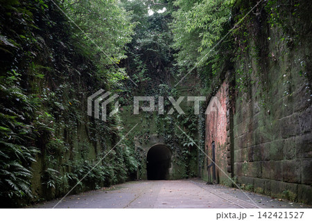 旧軍要塞の無人島 猿島 旧軍要塞の無人島 猿島 142421527