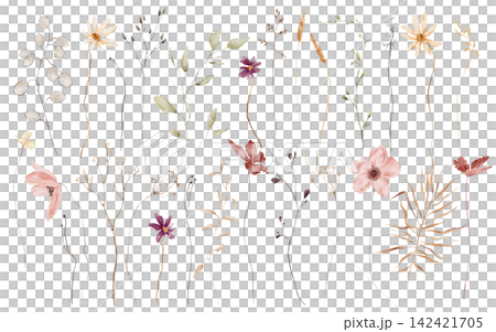 Hand-painted watercolor botanical clipart set of twenty-three isolated elements including lunaria seed pods, cosmos, anemones, baby's breath, wheat, palm leaf, wildflowers, grasses on white background Hand-painted watercolor botanical clipart set of twenty-three isolated elements including lunaria seed pods, cosmos, anemones, baby's breath, wheat, palm leaf, wildflowers, grasses on white background 142421705