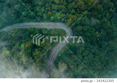 Serene nature background of a curved asphalt road in a dense green forest canopy, representing sustainable tourism and eco-friendly travel. 142422305