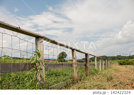 牧場のイメージ画像　岩手県小岩井農場の写真 142422324