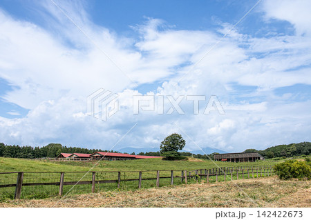 牧場のイメージ画像 岩手県小岩井農場の写真 牧場のイメージ画像 岩手県小岩井農場の写真 142422673