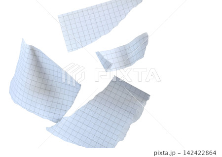 Torn fragments of a notebook sheet in a grid Torn fragments of a notebook sheet in a grid 142422864