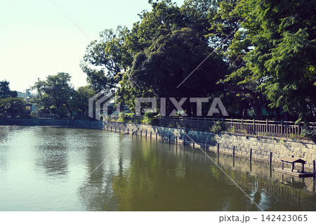 碑文谷公園　碑文谷池 142423065