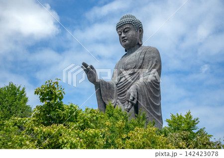 茨城県牛久市にある牛久大仏 142423078