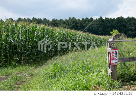 牧場のイメージ画像 立ち入り禁止の看板 牧場のイメージ画像 立ち入り禁止の看板 142423119