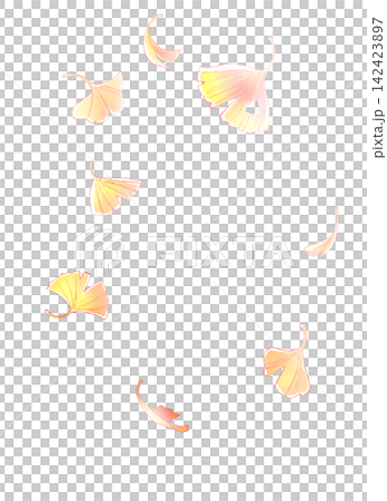 Fluttering ginkgo trees, vertical Fluttering ginkgo trees, vertical 142423897