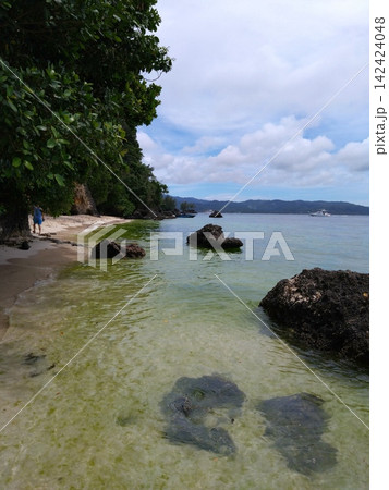 ベトナム、ダナンのソンチャ半島にある海岸風景 142424048