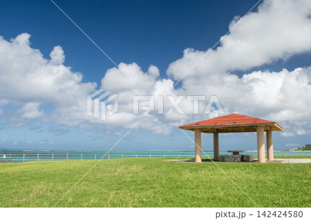 沖縄県豊見城市の豊崎海浜公園 142424580