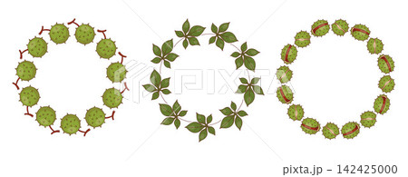 Autumn Chestnut Wreath Set. Botanical Circle Frame with Leaves and Brown Nuts In Spiky Green Husks. Isolated Round Blank Template for Postcard and Text Space. Colored Hand Drawn. Vector Illustration. Autumn Chestnut Wreath Set. Botanical Circle Frame with Leaves and Brown Nuts In Spiky Green Husks. Isolated Round Blank Template for Postcard and Text Space. Colored Hand Drawn. Vector Illustration. 142425000