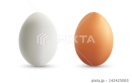 White and Brown Eggs Comparison Food Photography Minimal Background White and Brown Eggs Comparison Food Photography Minimal Background 142425003