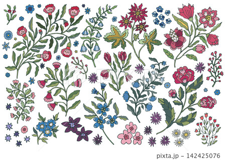 Hand Drawn Colorful Folk Botanical Branches 142425076