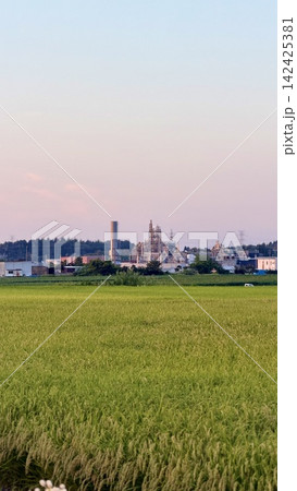 夕日に照らされる工場 夕日に照らされる工場 142425381