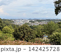 金沢自然公園からみる金沢文庫の絶景 142425728