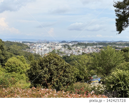 金沢自然公園からみる金沢文庫の絶景 金沢自然公園からみる金沢文庫の絶景 142425728