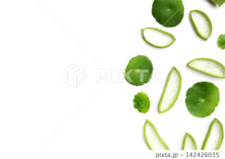 Fresh aloe vera slices and gotu kola leaves on a white background. Fresh aloe vera slices and gotu kola leaves on a white background. 142426035