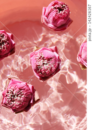 Thai-style folded pink lotus flowers floating in clear rippling water. Thai-style folded pink lotus flowers floating in clear rippling water. 142426167