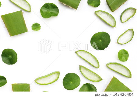 Fresh aloe vera slices and gotu kola leaves flat lay pattern on a white background. 142426404