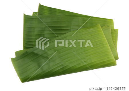 Fresh green banana leaves isolated on a white background. Fresh green banana leaves isolated on a white background. 142426575