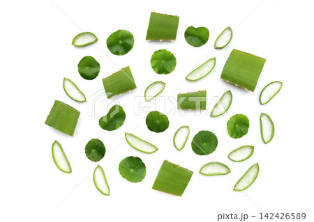 Fresh aloe vera slices and gotu kola leaves flat lay pattern on a white background. Fresh aloe vera slices and gotu kola leaves flat lay pattern on a white background. 142426589