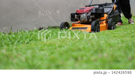 An orange engine-powered lawn mower being used to cut green grass in a backyard garden. An orange engine-powered lawn mower being used to cut green grass in a backyard garden. 142426598