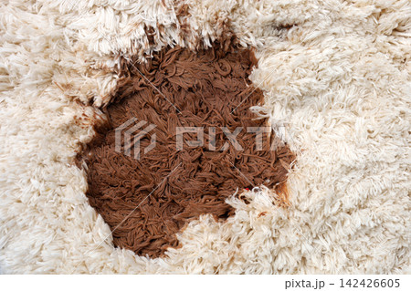 Large brown liquid stain on the carpet Large brown liquid stain on the carpet 142426605