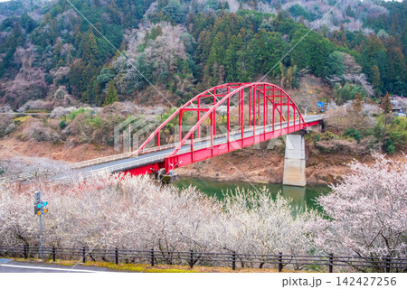 月ヶ瀬梅林 「月ヶ瀬橋」《奈良県 奈良市》 142427256