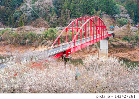 月ヶ瀬梅林 「月ヶ瀬橋」《奈良県 奈良市》 月ヶ瀬梅林 「月ヶ瀬橋」《奈良県 奈良市》 142427261