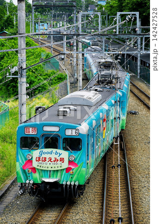 ラストランの最後でかしわ台駅へ入庫する相鉄新6000系ほほえみ号 ラストランの最後でかしわ台駅へ入庫する相鉄新6000系ほほえみ号 142427528