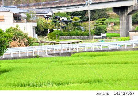 ドローンによる農薬散布 ドローンによる農薬散布 142427657