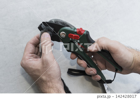 Person cutting brush sealing strip with garden shears illustrates practical maintenance task for home insulation improvement. 142428017