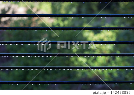 Raindrops on Horizontal Metal Fence Bars with Blurry Green Nature Bokeh Background Raindrops on Horizontal Metal Fence Bars with Blurry Green Nature Bokeh Background 142428853