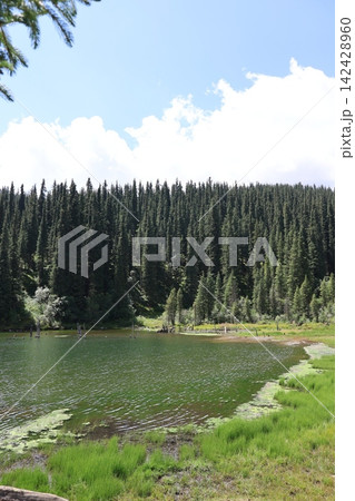 Mountain Lake Surrounded by Schrenk Spruce Forest in the Tien Shan Mountains of Kyrgyzstan Mountain Lake Surrounded by Schrenk Spruce Forest in the Tien Shan Mountains of Kyrgyzstan 142428960