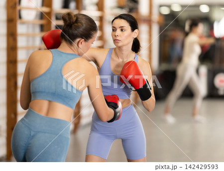 Young women in gym boxing training Young women in gym boxing training 142429593