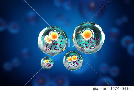 Human cells. Cell background 142430432