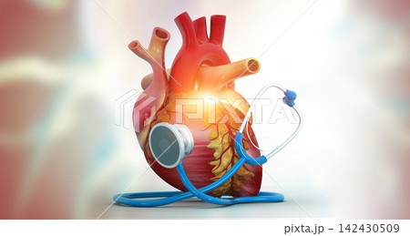 Human Heart With Stethoscope 142430509